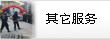 其它服務(wù)